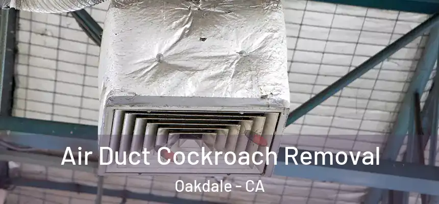  Air Duct Cockroach Removal Oakdale - CA