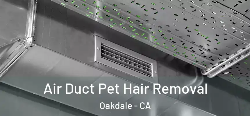 Air Duct Pet Hair Removal Oakdale - CA