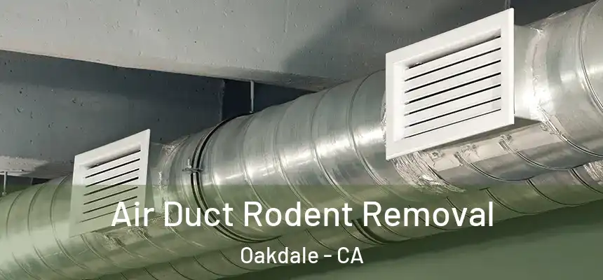 Air Duct Rodent Removal Oakdale - CA