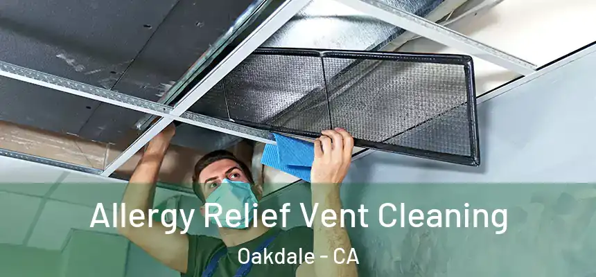 Allergy Relief Vent Cleaning Oakdale - CA