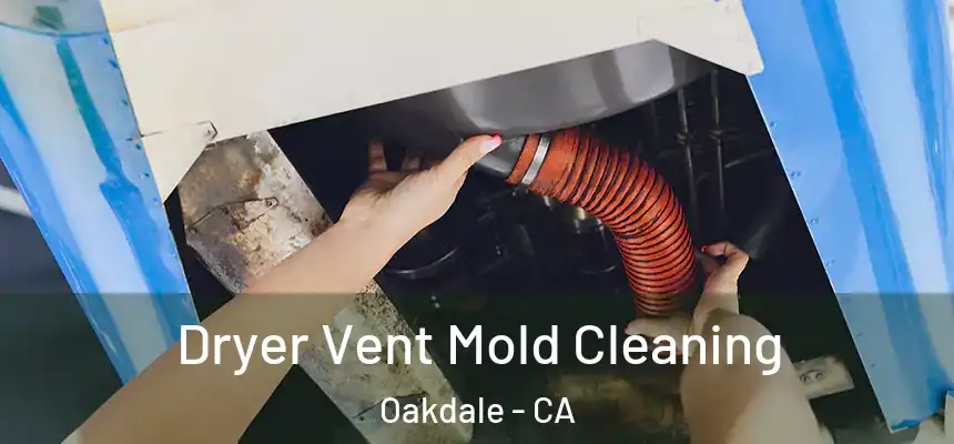  Dryer Vent Mold Cleaning Oakdale - CA