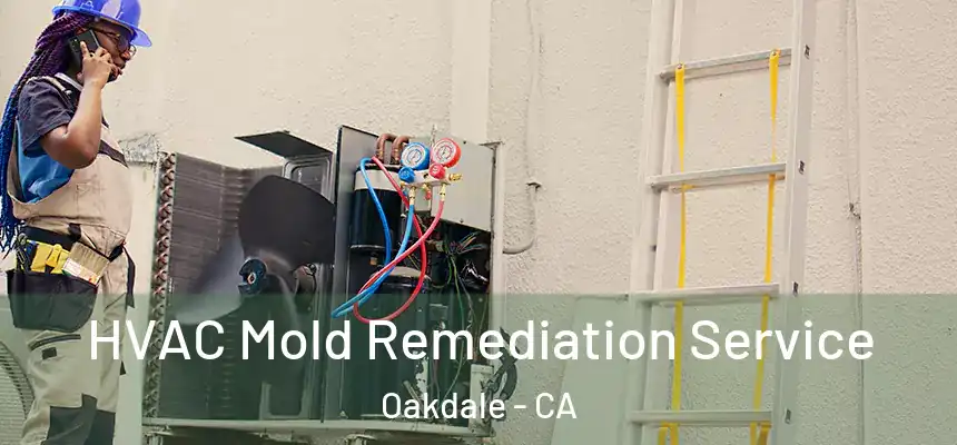  HVAC Mold Remediation Service Oakdale - CA