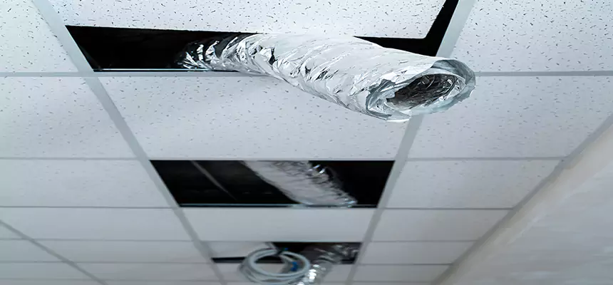 Affordable HVAC Sanitizing After Pest Removal in Oakdale