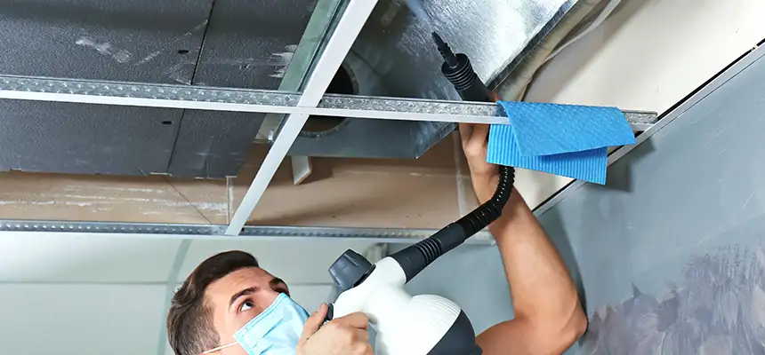 Our Air Duct Rodent Removal Services in Oakdale, CA