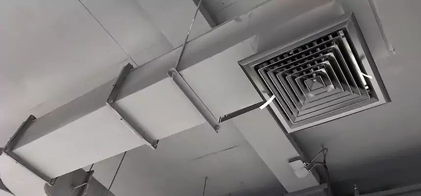 Restorative Allergy Relief Vent Cleaning – Coil, Blower & Housing Detail in Oakdale