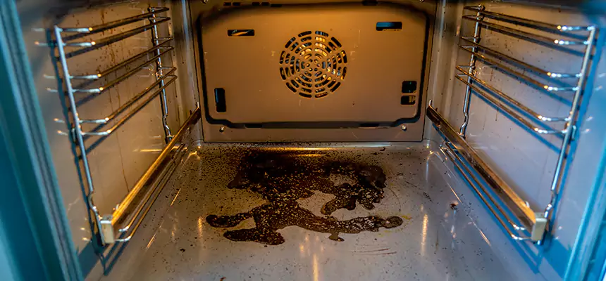 Our Dryer Vent Mold Cleaning Services in Oakdale, CA