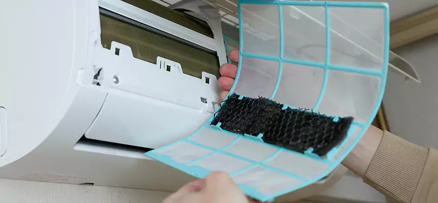 Gentle Ductwork Odor-Control Pet Dander Duct Cleaning in Oakdale, CA