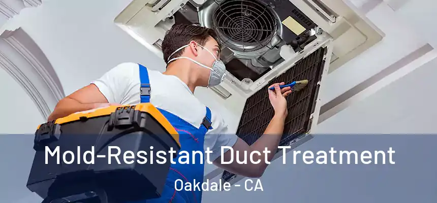 Mold-Resistant Duct Treatment Oakdale - CA
