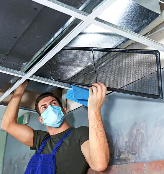About Air Duct Bacteria Removal in Oakdale