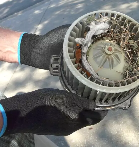 About Air Duct Mice Removal in Oakdale, CA