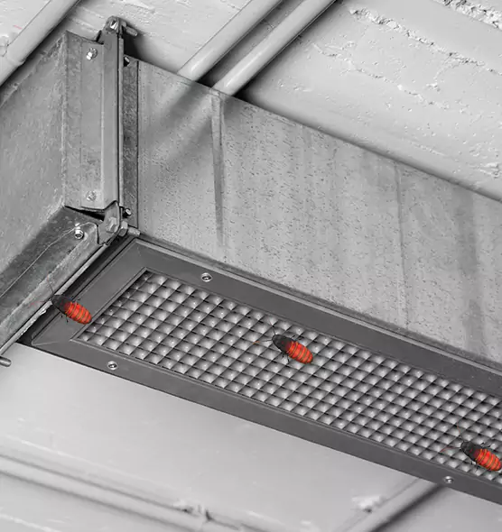 Affordable Insect Removal from Air Ducts in Oakdale, CA