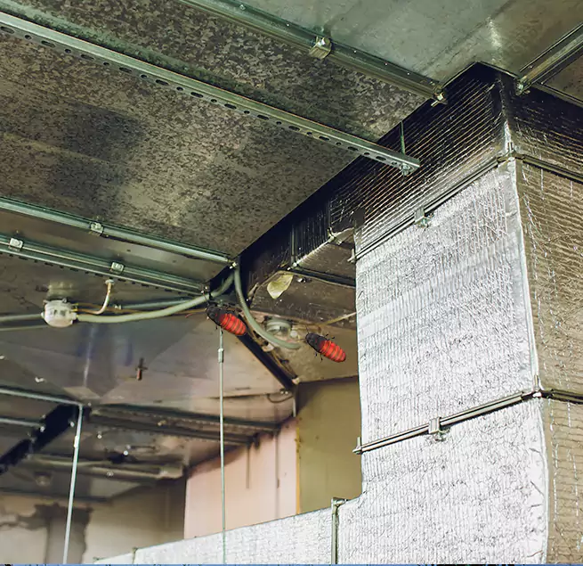 Why Homeowners & Businesses Trust Us Oakdale, CA?