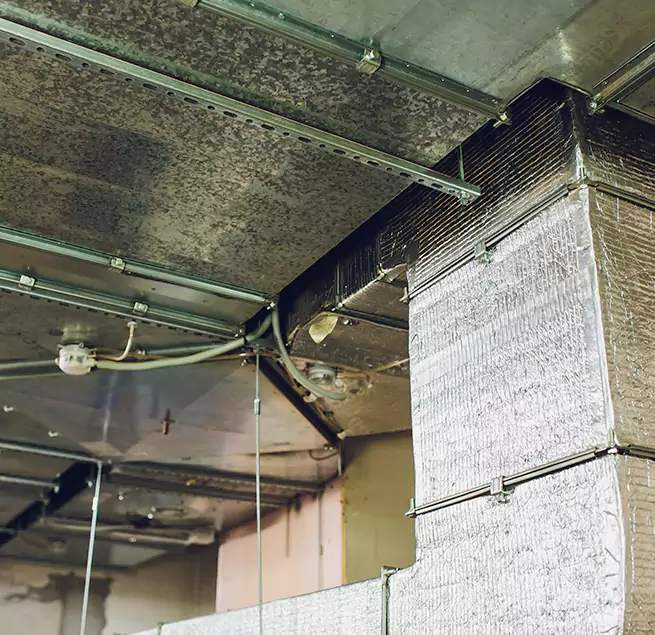 Why Homeowners & Businesses Trust Us in Oakdale, CA?